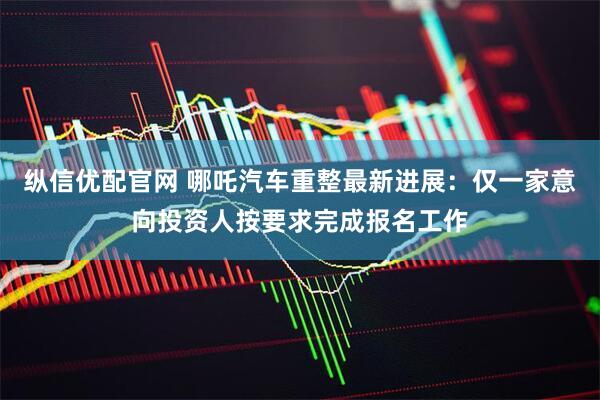 纵信优配官网 哪吒汽车重整最新进展：仅一家意向投资人按要求完成报名工作
