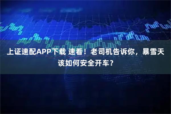 上证速配APP下载 速看！老司机告诉你，暴雪天该如何安全开车？