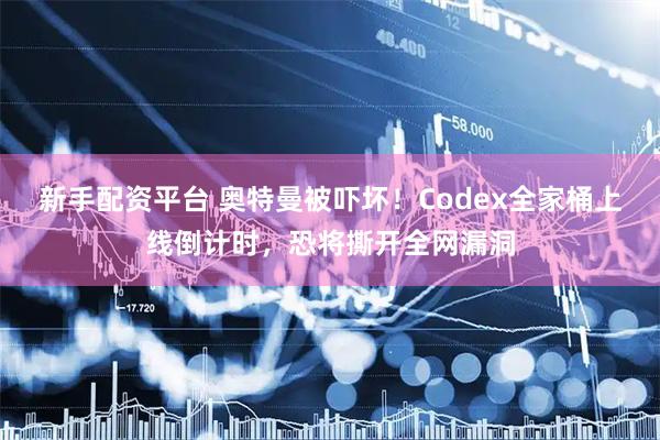 新手配资平台 奥特曼被吓坏！Codex全家桶上线倒计时，恐将撕开全网漏洞
